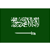 Saudi Arabia Division 2